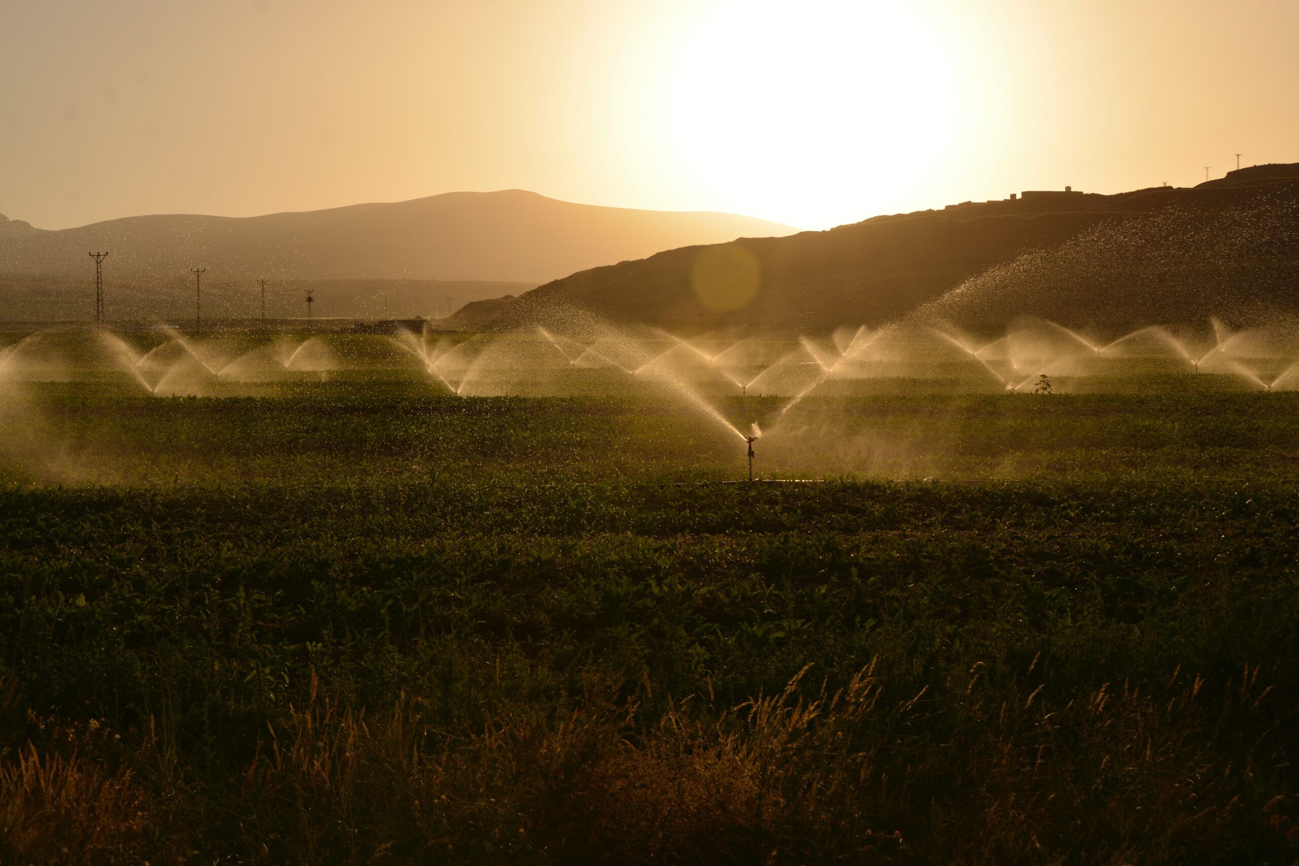How Do Irrigation Systems Work – What You Should Know