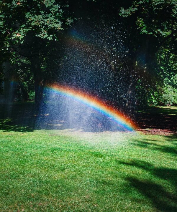 Easy Tips to Tune Up Your Lawn’s Irrigation System and Improve Efficiency 