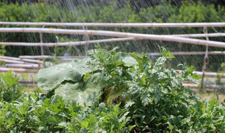 Lubbock Irrigation Supply - Watermaster pros