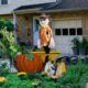 Halloween lawn - Watermaster Irrigation