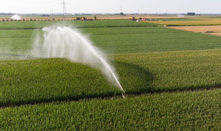 Boost Your Crops: Irrigation Benefits Await | Watermaster Irrigation