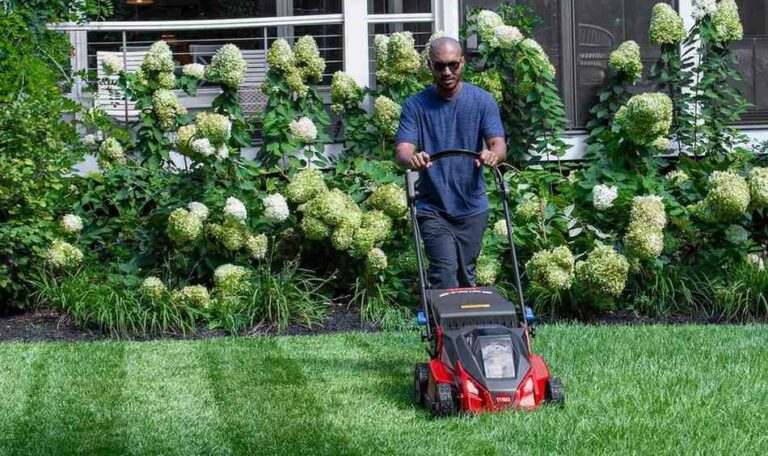 Watermaster Irrigation Supply Inc. | Economics of Buying Wholesale Lawn Care Supplies for Profit Margins A person using a push lawn mower to cut green grass in a residential yard, with flowering shrubs and a house visible in the background.