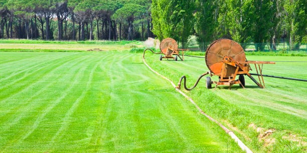 Watermaster Irrigation Supply Inc. | Why Use a K Line Irrigation System for Large Areas Green agricultural field being irrigated using large reel irrigation systems with trees in the background.
