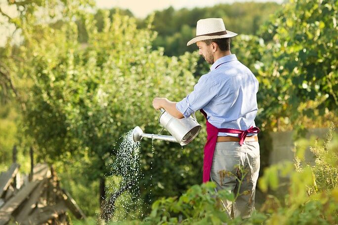 Watermaster Irrigation Supply Inc. | Choosing the Right Garden Equipment Wholesaler Near You Gardener watering plants with a metal watering can in a green garden